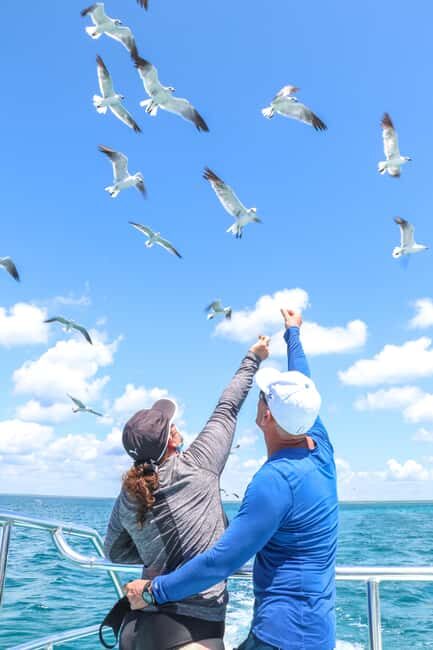 Punta Cana: Saona Island Catamaran - Key Points