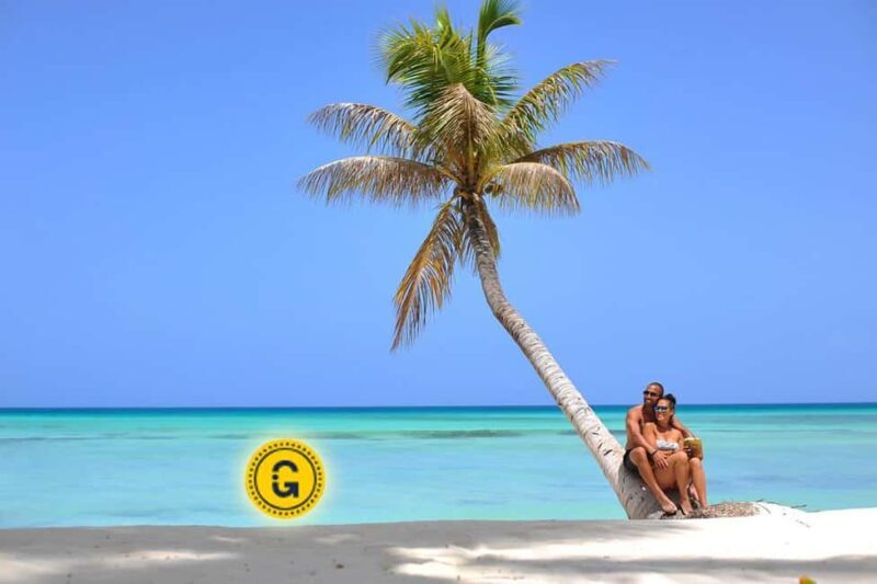 Punta Cana: Saona Island Day Tour and Catamaran Party - Authentic Experiences and Review Insights