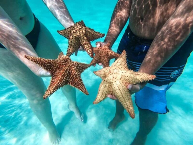 Punta Cana: Saona Island Day Tour and Catamaran Party - Who Should Consider This Tour?