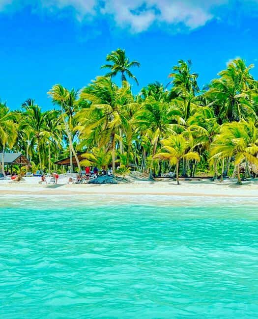 Punta Cana: Saona Island Exclusive Private Beach, Open Bar & Premium Lunch - Final Thoughts