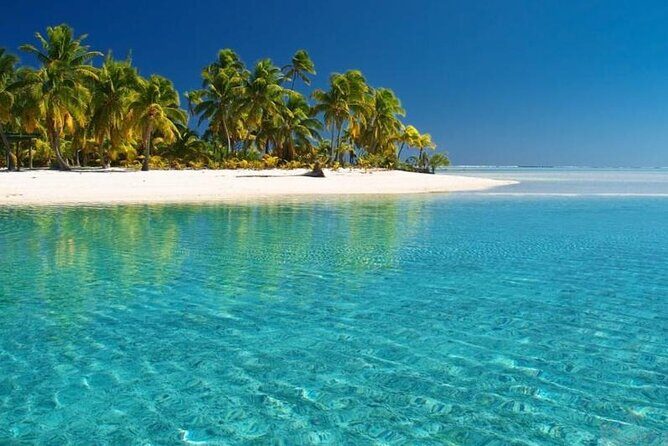 Punta Cana: Saona Island Food And Drink Catamaran Hotel Pickup - Authentic, Fun, and Well-Organized: Who Will Love This Tour?