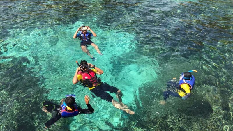 Punta Cana: Saona Island Tour & catamaran food & open Bar - Final Thoughts