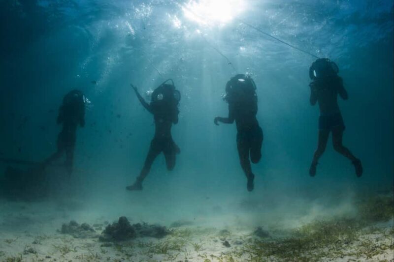 Punta Cana: Scoba Doo Discover the Underwater Wonders - Key Points