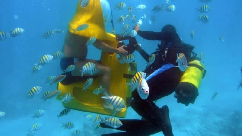 Punta Cana: Scoba Doo Discover the Underwater Wonders - Transportation and Practical Details