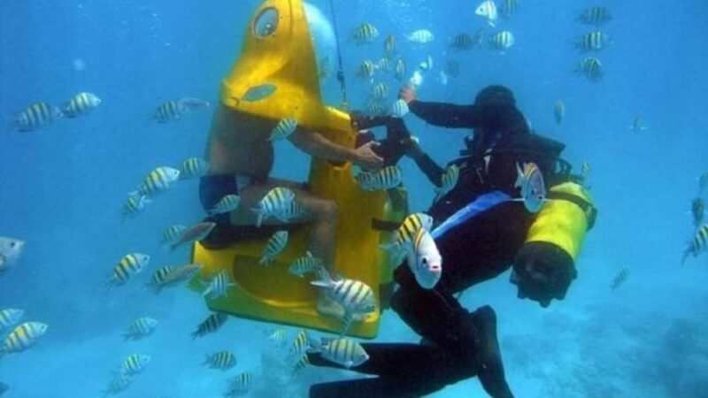 Punta Cana: Scoba Doo Discover the Underwater Wonders - Who is This Tour Best For?