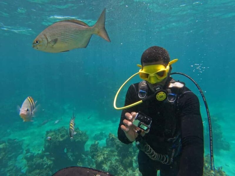 Punta Cana: Scuba Doo Adventure with Round-Trip Transfer - The equipment and safety measures