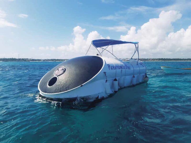 Punta Cana: Scubadoo Ocean Exploration Diving Adventure - Introduction: A Fun, Family-friendly Marine Experience