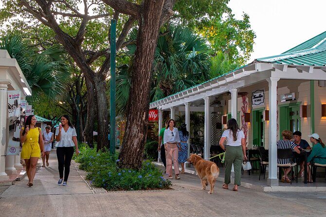 Punta Cana Shopping Tour - Practical Details: Transportation, Duration, and Cost