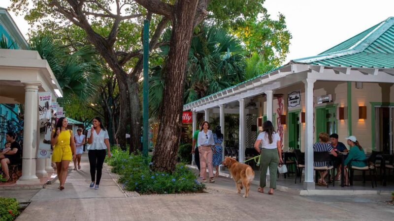 Punta Cana: Shopping Tour with Hotel Pickup and Drop-Off - The Value of This Experience