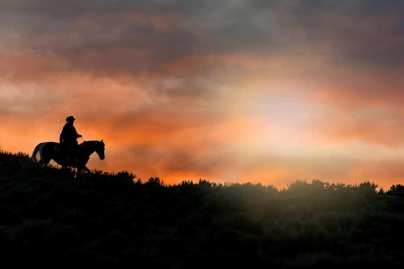Punta Cana: Sunset Horseback Ride in Macao Beach and Forest - Punta Cana: Sunset Horseback Ride in Macao Beach and Forest — A Thoughtful Look