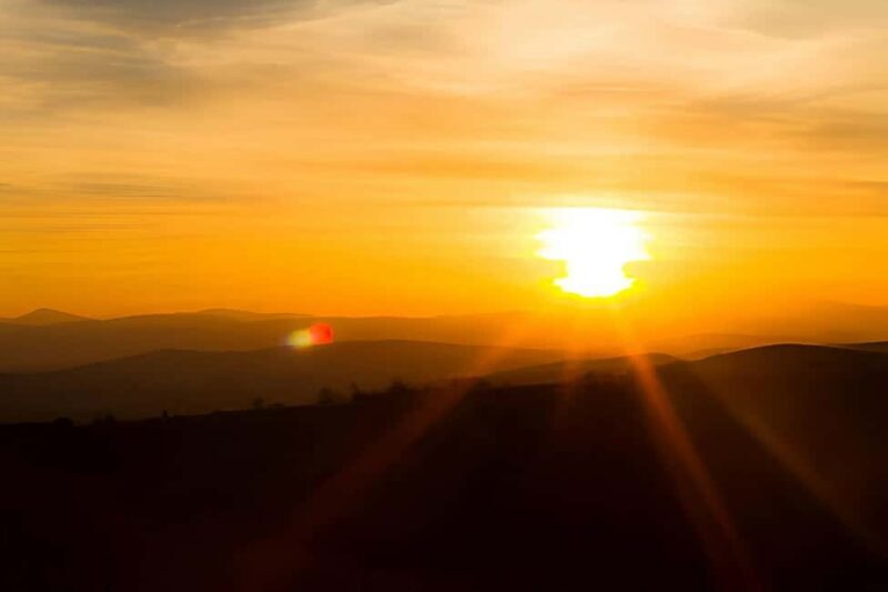 Punta Cana: Sunset Horseback Ride in Macao Beach and Forest - Who Is This Tour Best For?