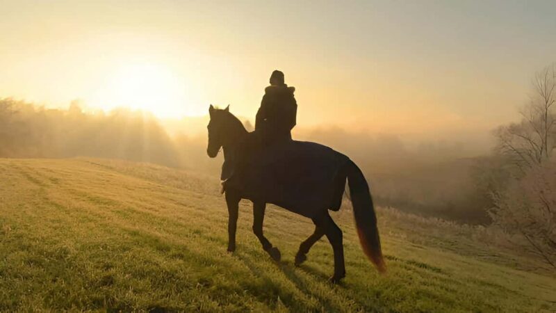 Punta Cana: Sunset Horseback Ride in Macao Beach and Forest - The Sum Up