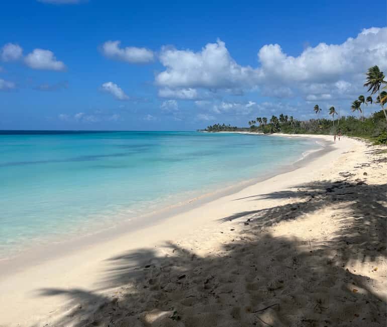 Punta Cana: Three Treasures of Saona - Palmilla, Pueblo & Canto de la playa - An In-Depth Look at the Tour Itinerary