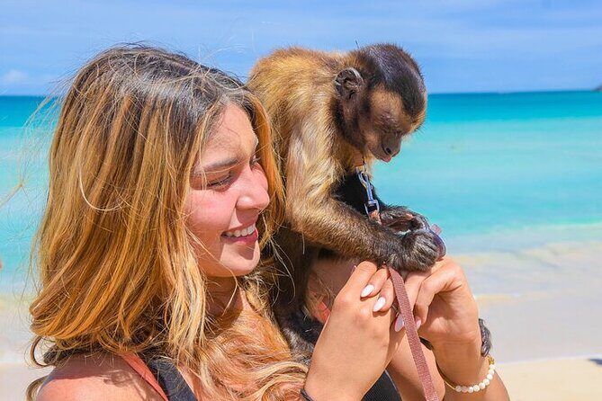 Punta Cana Tour in Atv + Horseback Riding Pick up Hotel - The Natural and Cultural Context
