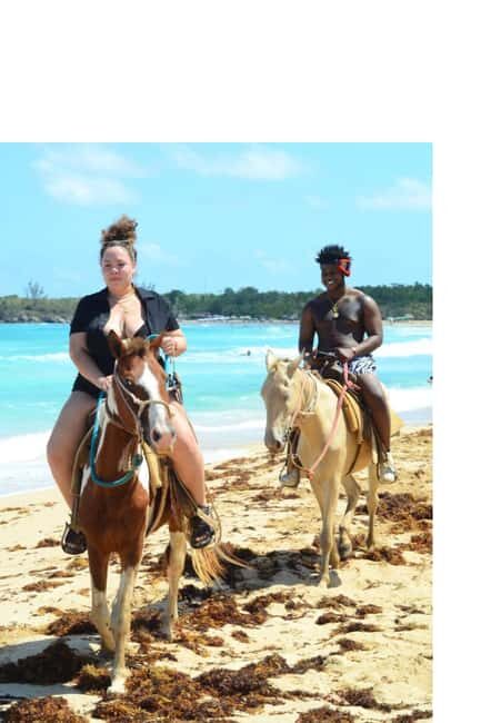 Punta Canas Best Sunset Horse Ride - An In-Depth Look at the Experience