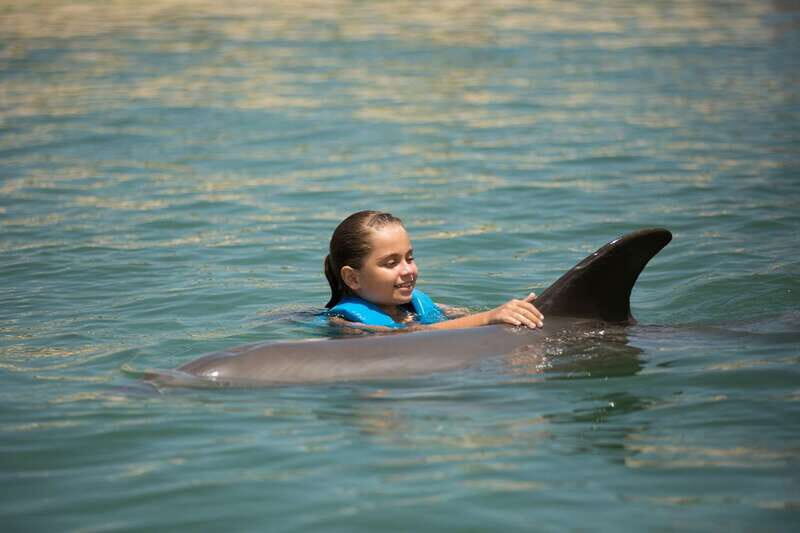Punta Cancun: Swim with dolphins Harmony - Introduction