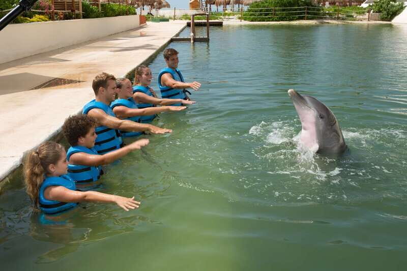 Punta Cancun: Swim with dolphins Harmony - FAQ