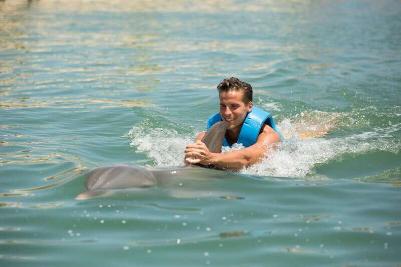 Punta Cancun: Swim with dolphins Interax - The Experience in Context