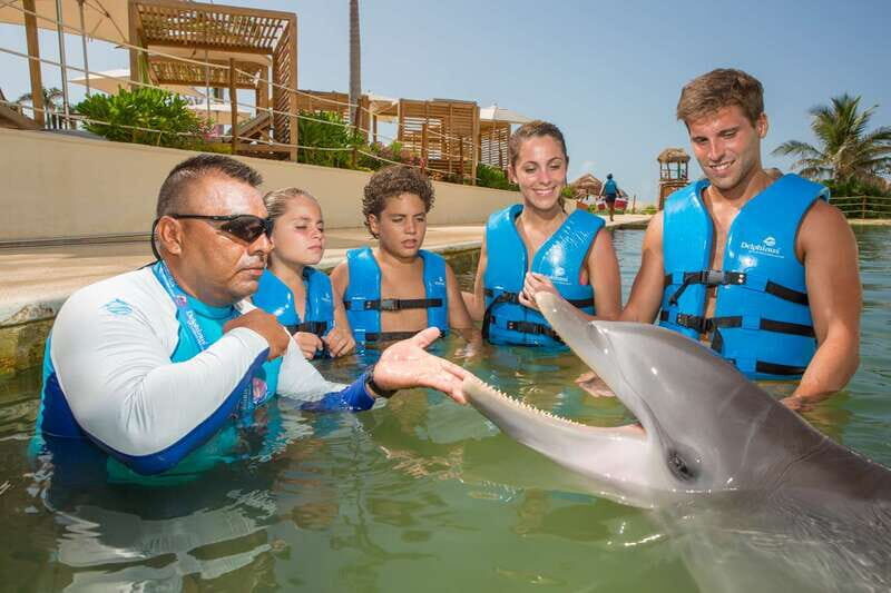 Punta Cancun: Swim with dolphins Primax - An Overview of the Primax Experience