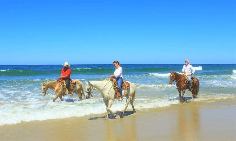 Punta de Mita/Sayulita: Horseback Riding Tour - Frequently Asked Questions