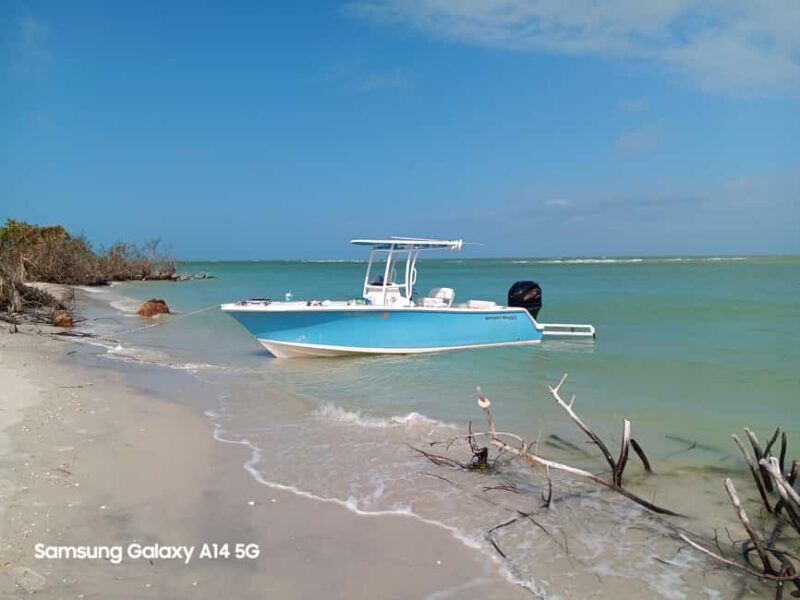 Punta Gorda /Boca Grande: Barrier Island Shelling Tour - What the Itinerary Looks Like