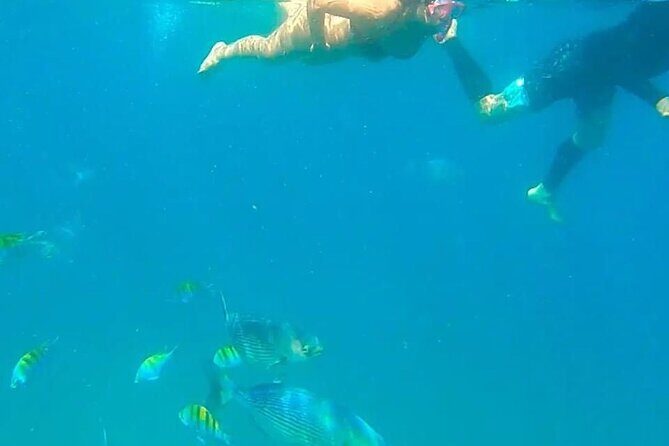 Punta Mita Fishing Experience and Snorquel at Secluded Reefs - The Sum Up