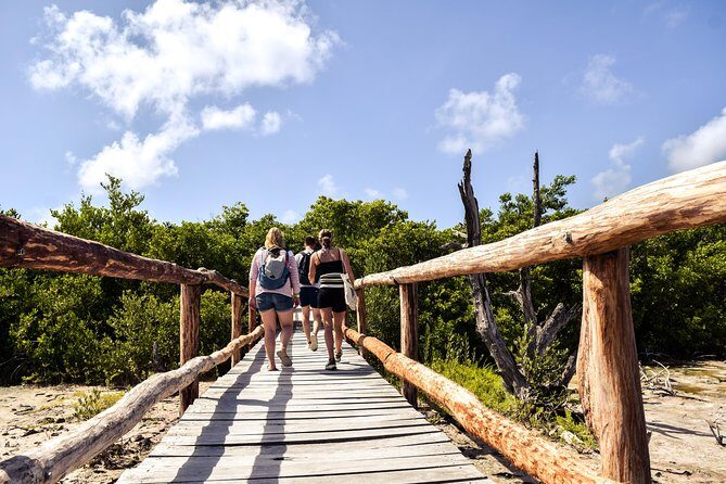 Punta Sur Eco Beach Park Electric Bike Tour in Cozumel - The Practicalities: What You Should Know