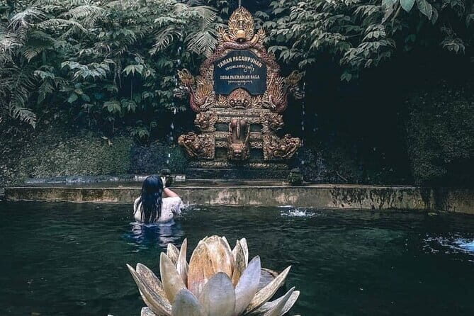 Purification Ceremony, Kehen Temple and Goa Raja Waterfall Tour - A Detailed Look at the Tour