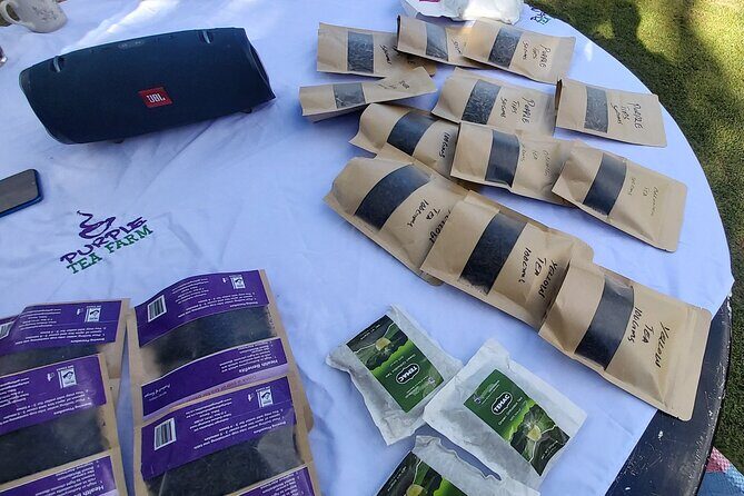 Purple Tea Farm Tour from Nairobi City - Specialty Tea Tasting - Who Should Consider This Tour?