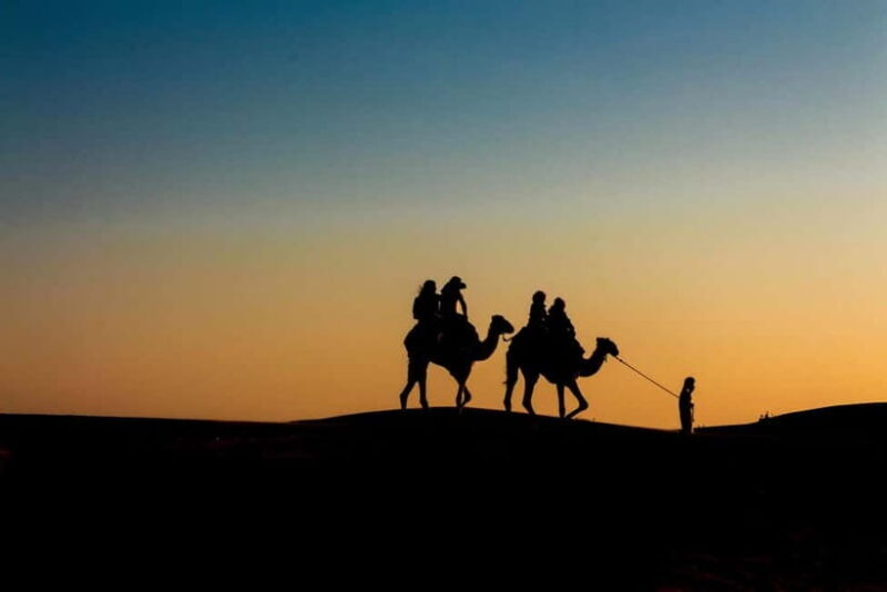 Pushkar: Camel Sunset Safari Adventure - Introduction