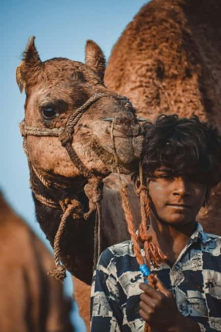 Pushkar: Camel Sunset Safari Adventure - Who Will Love This Experience?