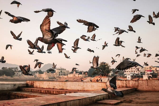 Pushkar: Private Guided day tour From Jaipur - Discovering the Brahma Temple