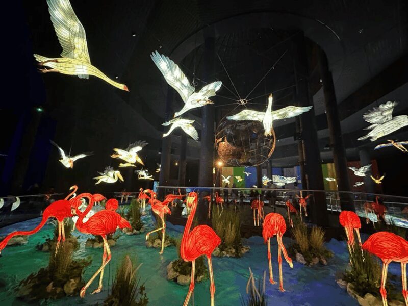 Putrajaya: Wetland Studios Admission Ticket - Potential Drawbacks and Considerations