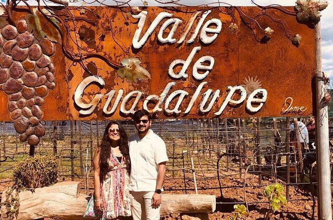 Pvt Wine Tastings + Cheese Store + Massage Shore Excursion - Who Will Love This Tour?