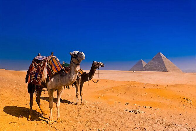 Pyramids and Sphinx Half-Day Private Guided Tour - Practical Details for Travelers