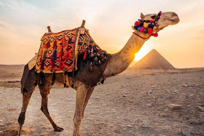 Pyramids camel ride - Discovering the Pyramids on Camelback: An Authentic Sunrise Experience