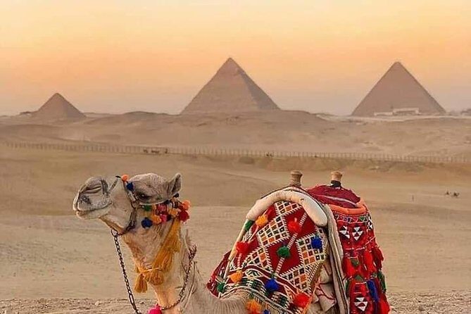 Pyramids & Camel Tour - A Close Look at the Tour Itself