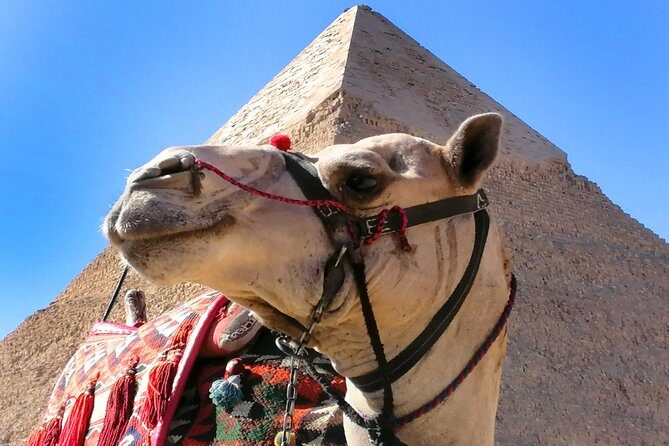 Pyramids of Giza & Saqqara complex - The Itinerary: Step-by-Step