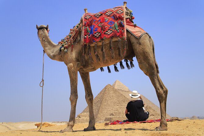 Pyramids of Giza, Sphinx and Egyptian Museum Day Tour - The Practical Details and Value