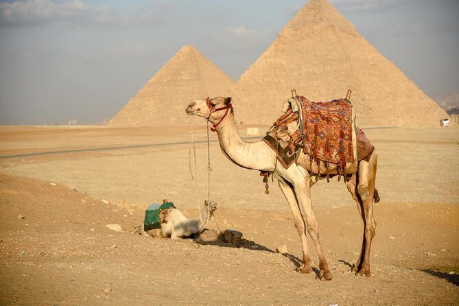 Pyramids, Sphinx & Tourist Bazaar Tour from Cairo Airport - The Value of This Tour
