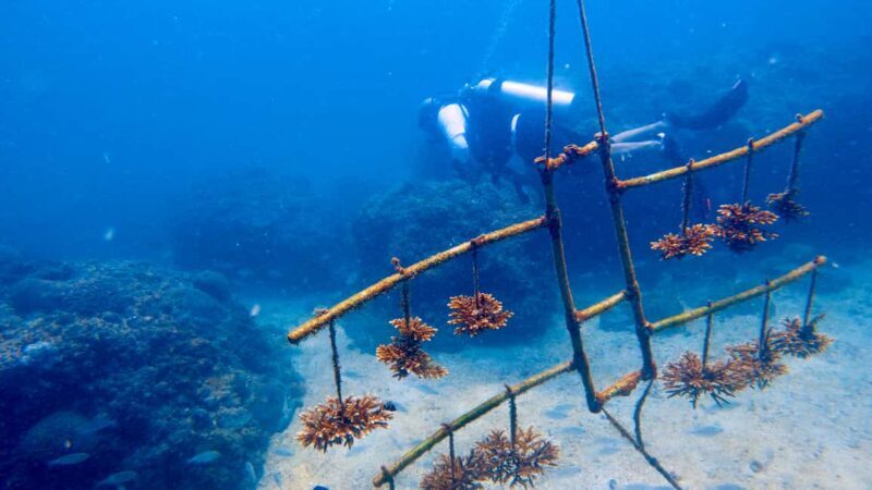 Qantab Beach: Discover Scuba Diving Experience - What Makes the Qantab Beach Experience Special?