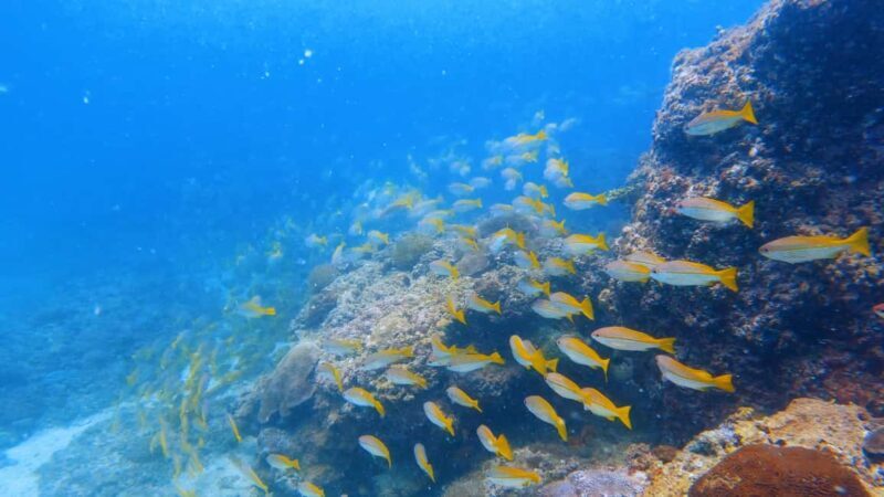Qantab Beach: Discover Scuba Diving Experience - The Value and What You Really Get for $160