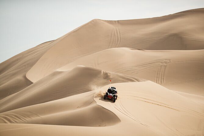 Qatar-ATV Self Drive Quad Bike Experience - Who Will Enjoy This Tour?