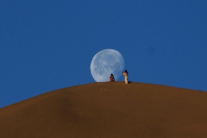 Qatar Desert Safari, Dune Bashing (Private Safari Tour) - Additional Activities & Practical Details