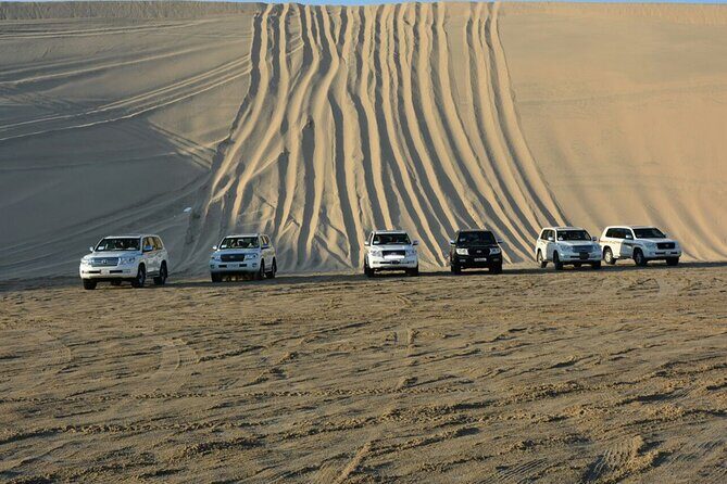 Qatar Desert Safari, Dune Bashing (Private Safari Tour) - Pros and Cons: What Travelers Should Know