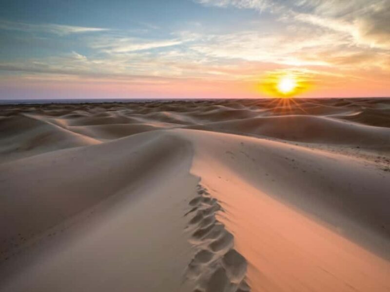 Qatar Desert Safari, Quad bike, Camel Ride and Sandboarding - Practical Tips for Travelers