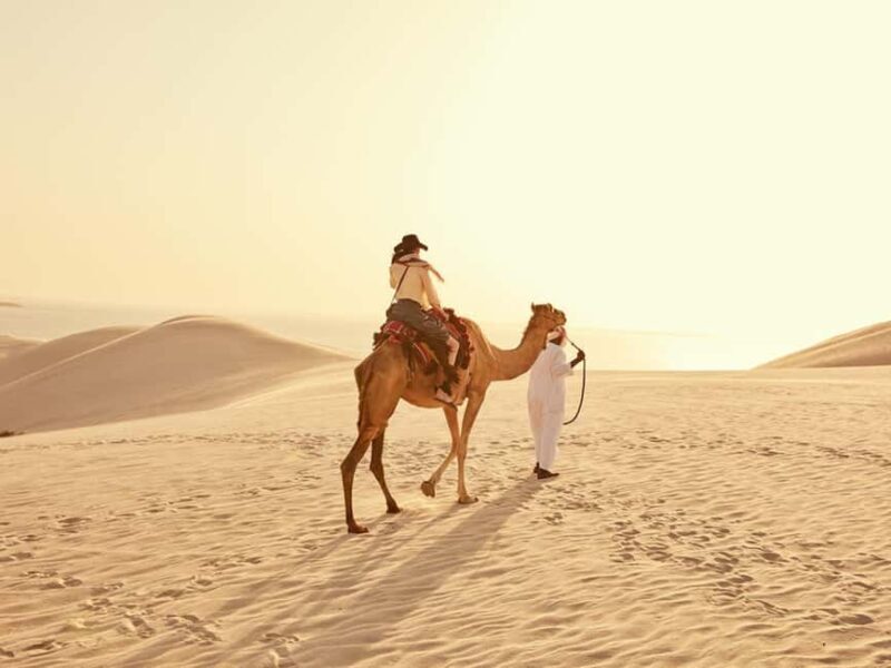 Qatar Desert Safari, Quad bike, Camel Ride and Sandboarding - Authenticity and Testimonials
