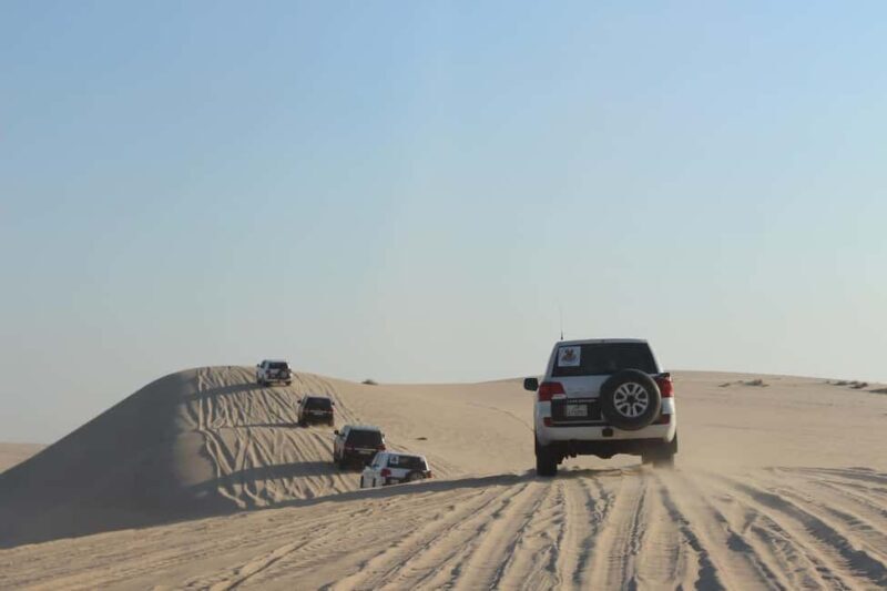 Qatar Desert Safari Tours - Discovering the Desert: What to Expect