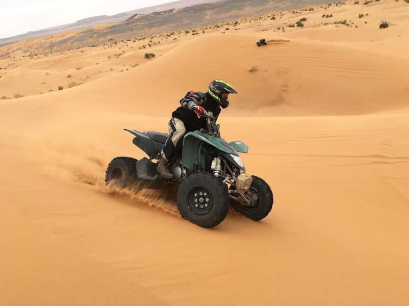Qatar Desert Safari Tours - Deep Dive into the Experience