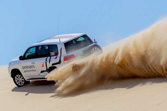 Qatar Half Day Desert Safari(Camel Rides & Sandboarding) - Final Thoughts: Who Should Consider This Tour?